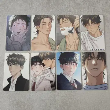 36.5도 레시피 트레이딩 카드 3 한국 BL