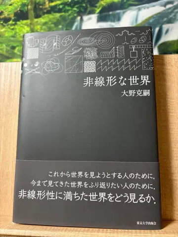 비선형적인 세계