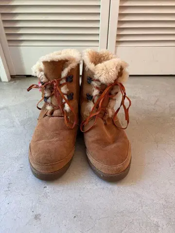 할리우드 런치 마켓 양가죽