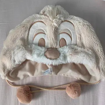 디즈니 팬캡 칩과 데일