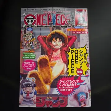 ONE PIECE magazine 원피스 매거진 20호