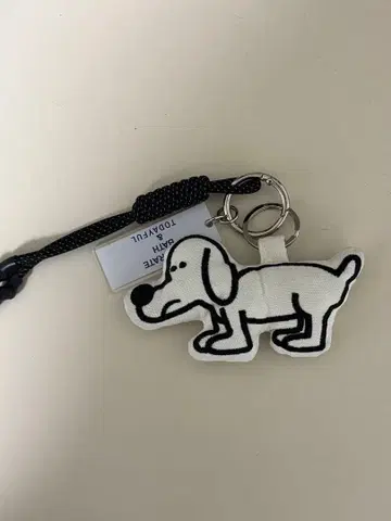 세파바스 x 투데이풀 키참