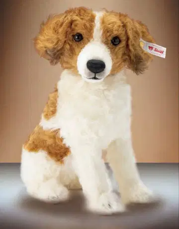 슈타이프 코이켈 혼디에 일본 한정판