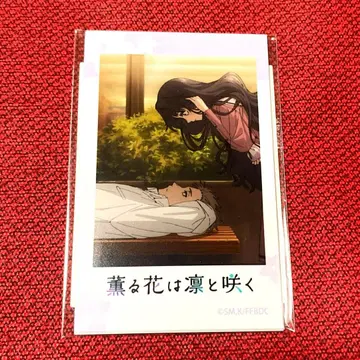 사진풍 브로마이드 5장 세트