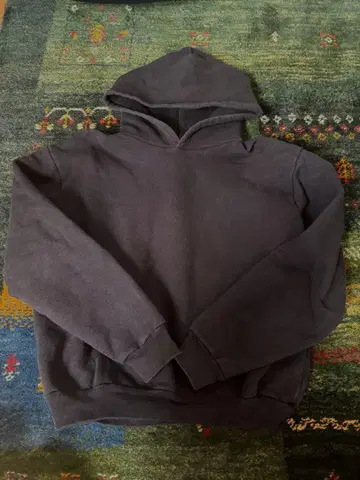 아메리칸 어패럴 후디