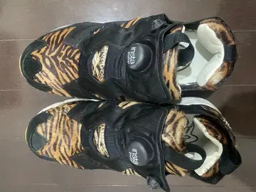 펌프 퓨리 타이거 스트라이프