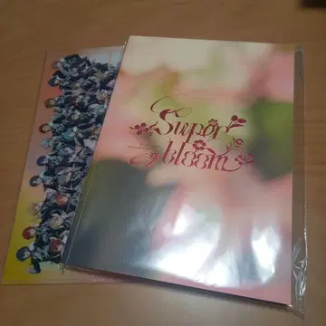 앙스타 스타포니 4th Superbloom 공식 팜플렛