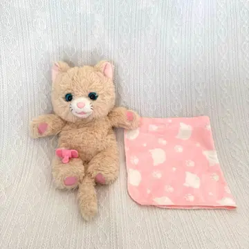 안아줘 넬른 베이지 고양이