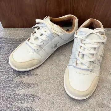 산가초 25cm 스니커즈 반시 콜라보 한정판 뉴즈