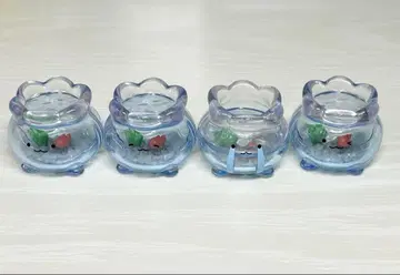 와루루기 금붕어 단지짱 컴플리트