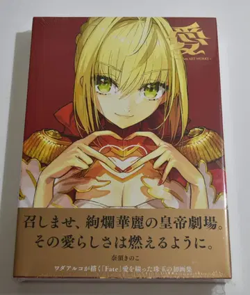 아이 와다 아루코 Fate ART WORKS 화집 03251212H01S