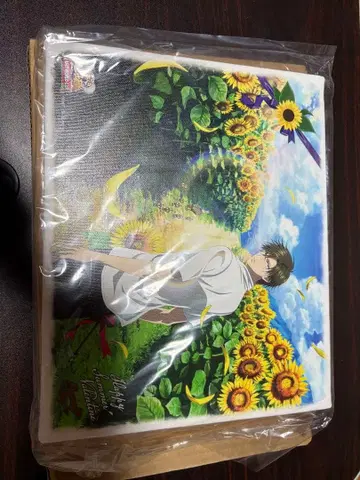 테즈카 쿠니미츠 서머 발레