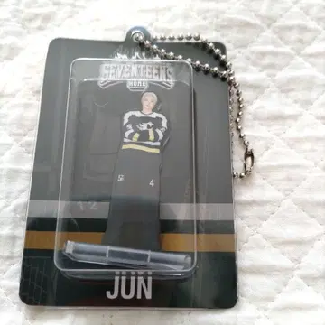 SEVENTEEN 세븐틴 HOME 키링 준