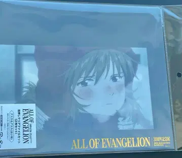 아스카 클리어 파일 금박 2장 세트 에반게리온 에바 전시회 올 에바