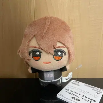 컬러풀 피치 카라피치 SD 인형 우리 모리 2025ver 봉제 인형