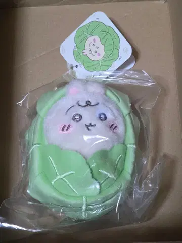 치이카와 (먼작귀) Chiikawa baby 양배추에 싸인 토끼 마스코트