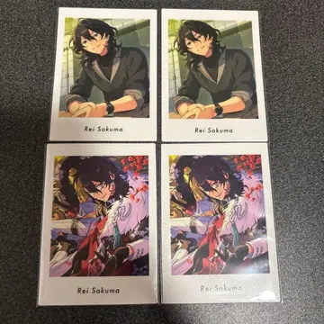 앙스타 파샤츠 레이