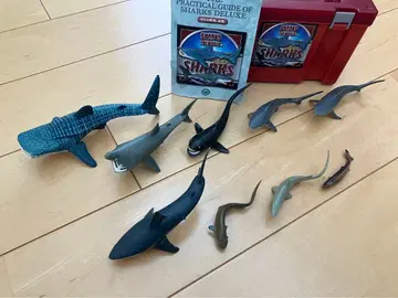 칼로라타 입체도감 상어