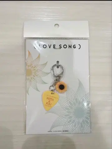 러브송 LOVE SONG 피크 키링 새상품 무카이 코지 굿즈