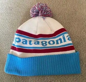 patagonia 폼폼 포함 니트 모자