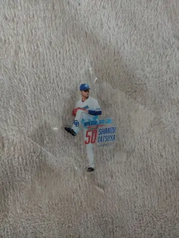 주니치 드래곤즈 시미즈 타츠야 피규어