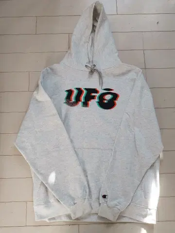 Champion UFO GLITCH NOISE HOODY 후드티 그레이