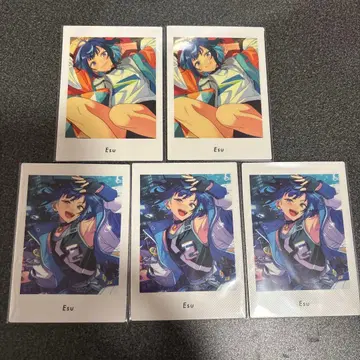 앙스타 파샤츠 에스