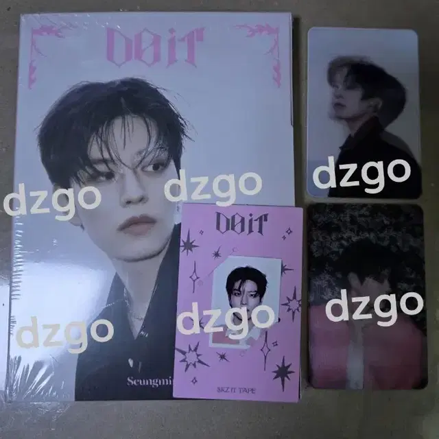 Stray Kids 승민 DOIT 아코디언 앨범 + 포카 증사 세트