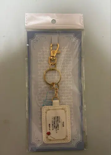 코난 플라자 키 참 괴도 키드