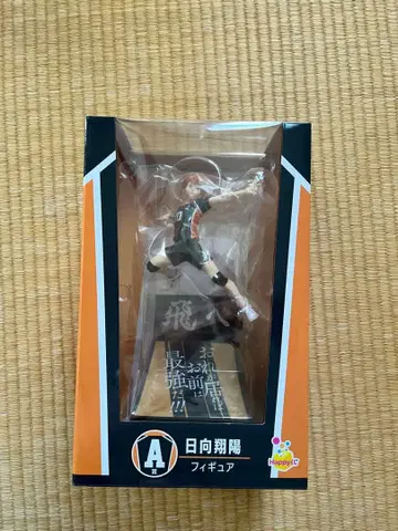 히나타 쇼요 액션 피규어 A 랭크