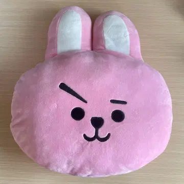 BT21 쿠션