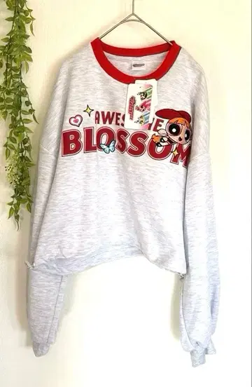 택 포함 새상품 파워퍼프걸스 맨투맨 트레이닝복 블라썸 L 사이즈