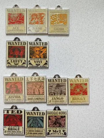 원피스 현상금 메탈 키링 세트