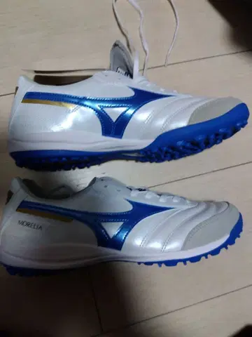 최종 가격 인하 모렐리아 SALA ELITE TF 24.5