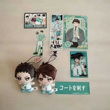 하이큐!! 아오바조사이 오이카와 토오루 이와이즈미 하지메 묶음 판매