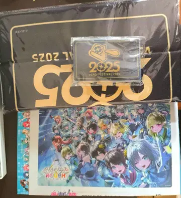 VSPo! 페스티벌 2025 ss석 혜택 및 배포물