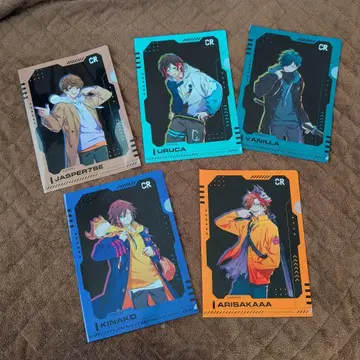 Crazy Raccoon 클리어 파일 세트