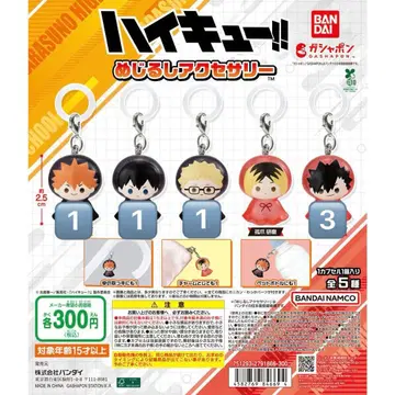 하이큐!! 메지루시 액세서리