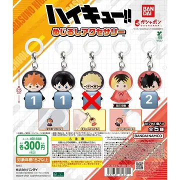 하이큐!! 메지루시 액세서리 (낱개 판매 가능)