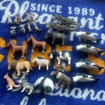 샤크렐 플래닛 묶음 판매