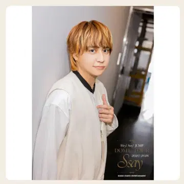 야오토메 히카루 오리지널 사진 세트