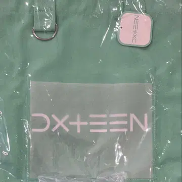 DXTEEN 토트백 GIGO 한정판