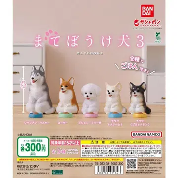 마테보케견 가챠 전종 세트