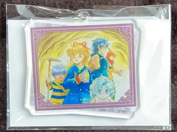 포춘 퀘스트 35주년 기념 온라인 복권 아크릴 키링 C상 C-11