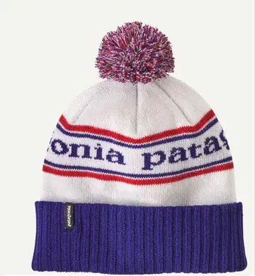 patagonia 파우더 타운 비니 Viking Blue