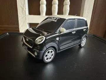 CAST ACTIVA 미니카 블랙/화이트