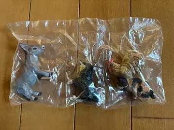 하시모토 미오 브레멘 음악대 가챠