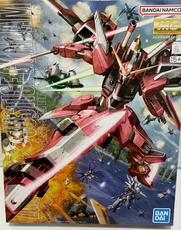 MG 1/100 인피니트 저스티스 건담 미개봉 미조립