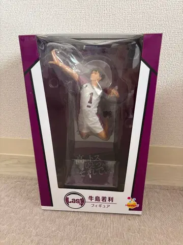 하이큐 우시지마 와카토시 피규어 Happy 복권