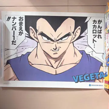 드래곤볼 베스트 장면 포스터 베지터 마인 부우 편